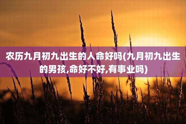 农历九月初九出生的人命好吗(九月初九出生的男孩,命好不好,有事业吗)