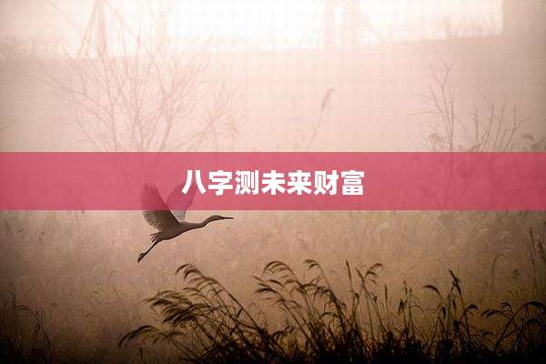 八字测未来财富