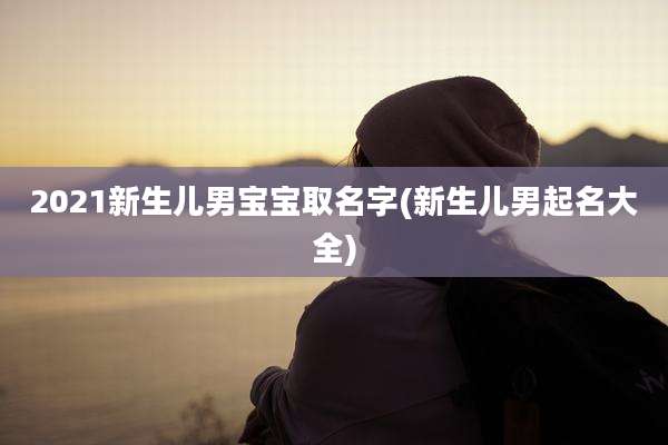 2021新生儿男宝宝取名字(新生儿男起名大全)