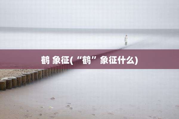 鹤 象征(“鹤”象征什么)