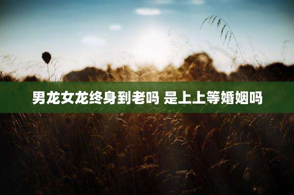 男龙女龙终身到老吗 是上上等婚姻吗