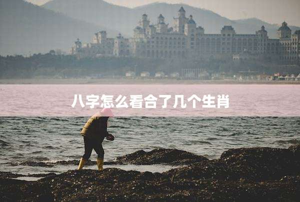 八字怎么看合了几个生肖