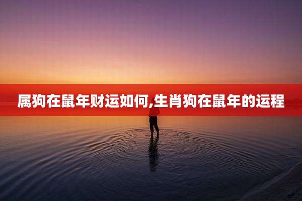 属狗在鼠年财运如何,生肖狗在鼠年的运程