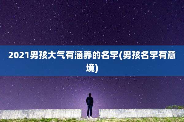 2021男孩大气有涵养的名字(男孩名字有意境)