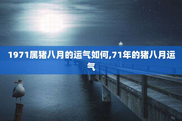 1971属猪八月的运气如何,71年的猪八月运气