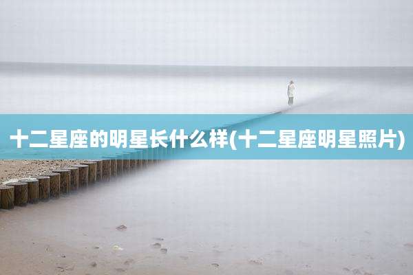 十二星座的明星长什么样(十二星座明星照片)