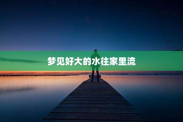 梦见好大的水往家里流