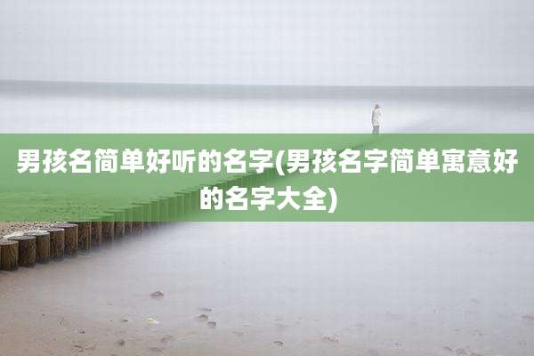 男孩名简单好听的名字(男孩名字简单寓意好的名字大全)