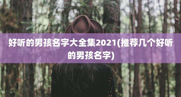 好听的男孩名字大全集2021(推荐几个好听的男孩名字)