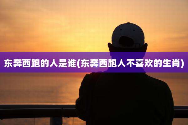 东奔西跑的人是谁(东奔西跑人不喜欢的生肖)