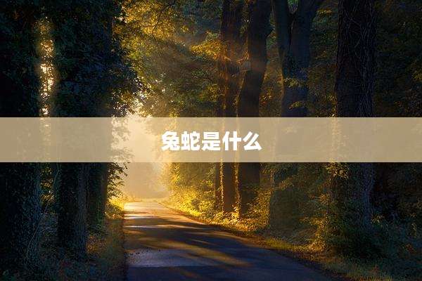 兔蛇是什么