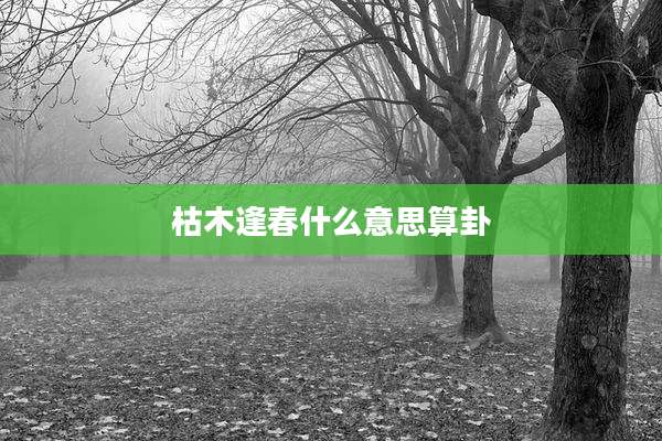 枯木逢春什么意思算卦