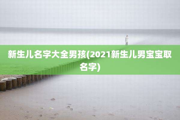 新生儿名字大全男孩(2021新生儿男宝宝取名字)