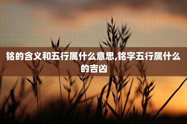 铭的含义和五行属什么意思,铭字五行属什么的吉凶