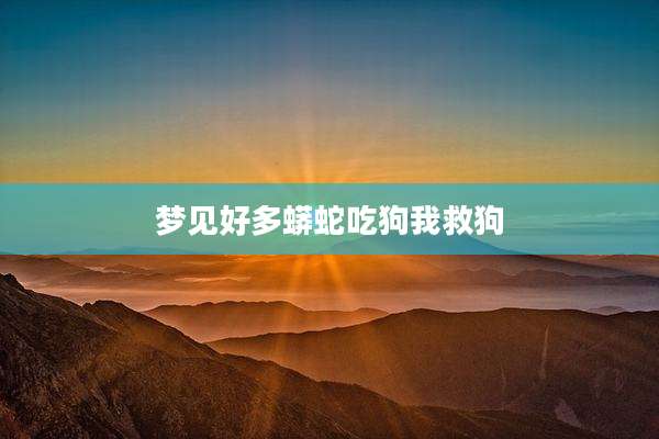 梦见好多蟒蛇吃狗我救狗