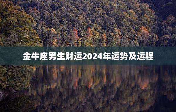 金牛座男生财运2024年运势及运程