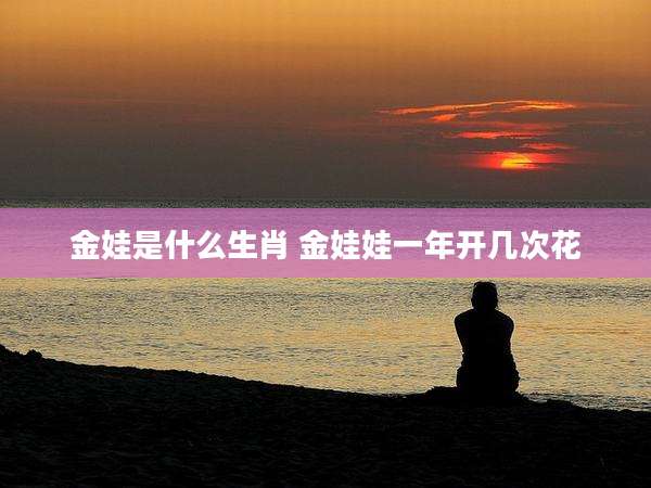 金娃是什么生肖 金娃娃一年开几次花