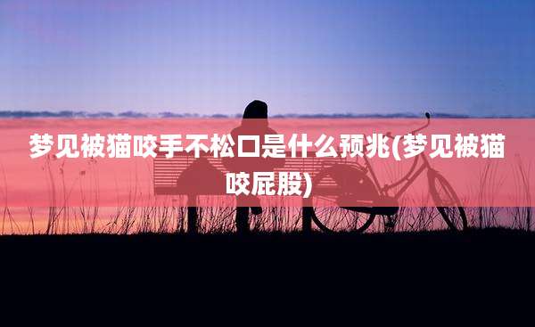 梦见被猫咬手不松口是什么预兆(梦见被猫咬屁股)