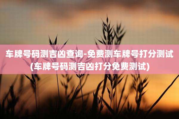 车牌号码测吉凶查询-免费测车牌号打分测试(车牌号码测吉凶打分免费测试)