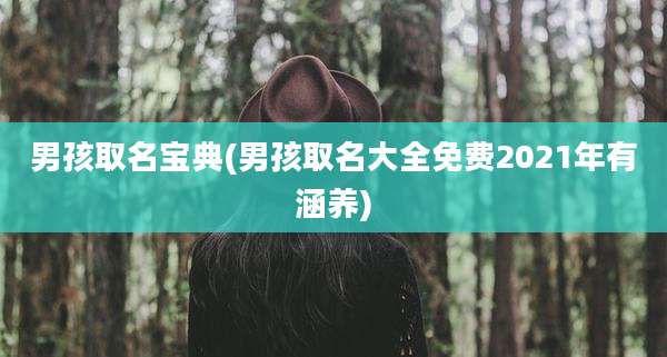 男孩取名宝典(男孩取名大全免费2021年有涵养)