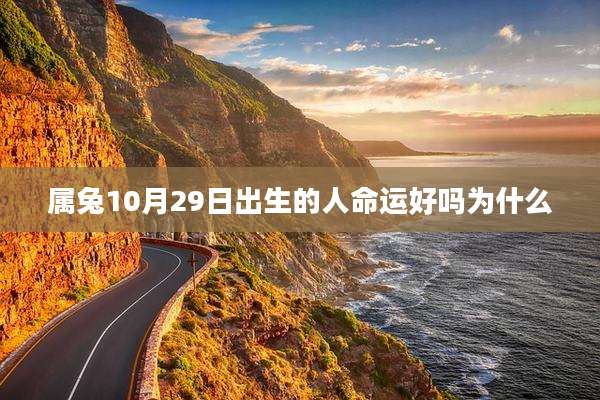 属兔10月29日出生的人命运好吗为什么