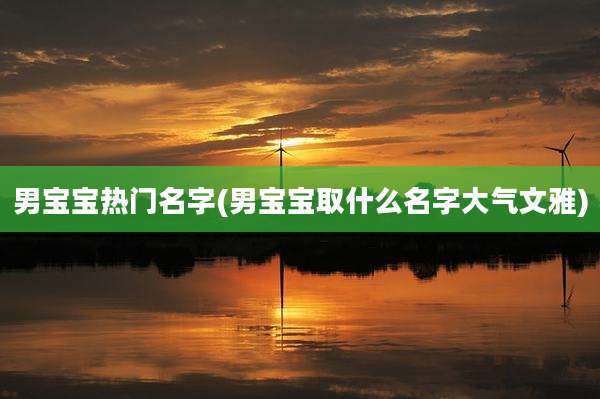 男宝宝热门名字(男宝宝取什么名字大气文雅)