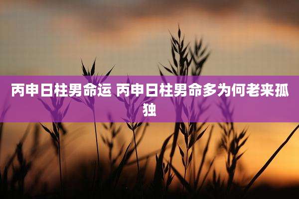 丙申日柱男命运 丙申日柱男命多为何老来孤独
