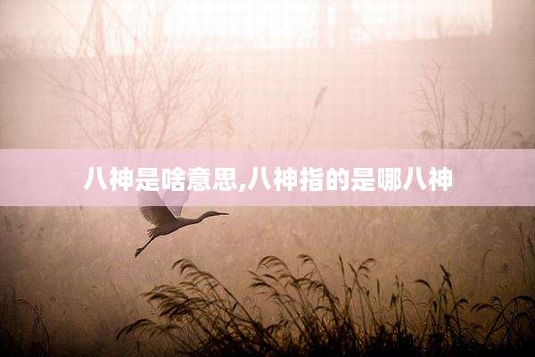 八神是啥意思,八神指的是哪八神