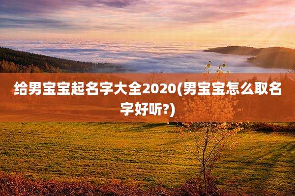 给男宝宝起名字大全2020(男宝宝怎么取名字好听?)