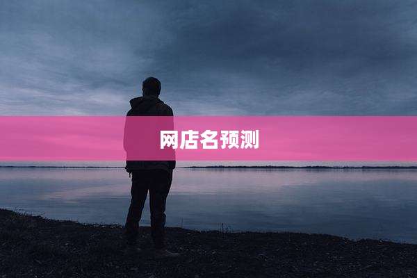 网店名预测