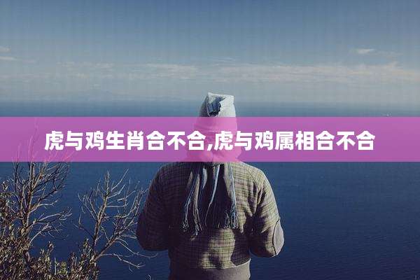 虎与鸡生肖合不合,虎与鸡属相合不合