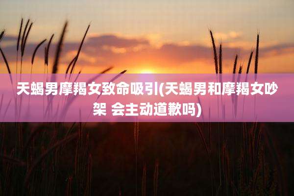 天蝎男摩羯女致命吸引(天蝎男和摩羯女吵架 会主动道歉吗)