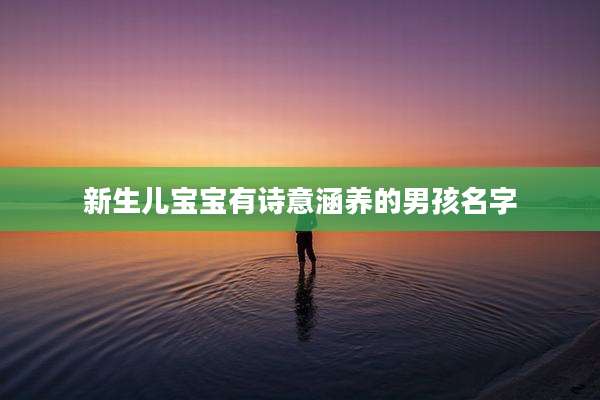 新生儿宝宝有诗意涵养的男孩名字