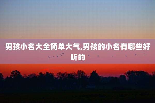 男孩小名大全简单大气,男孩的小名有哪些好听的