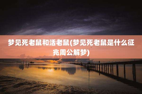 梦见死老鼠和活老鼠(梦见死老鼠是什么征兆周公解梦)