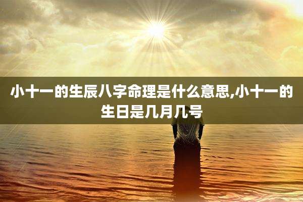 小十一的生辰八字命理是什么意思,小十一的生日是几月几号