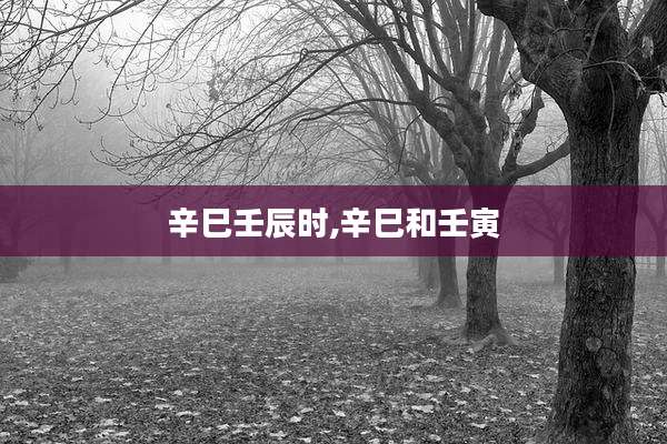 辛巳壬辰时,辛巳和壬寅