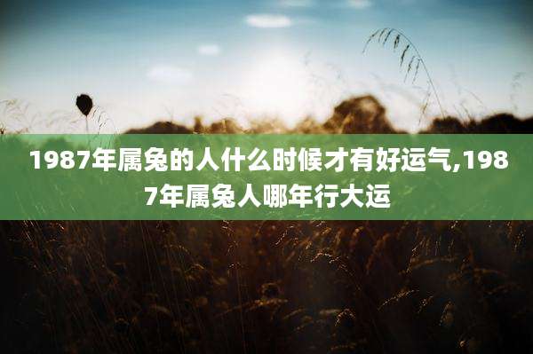 1987年属兔的人什么时候才有好运气,1987年属兔人哪年行大运