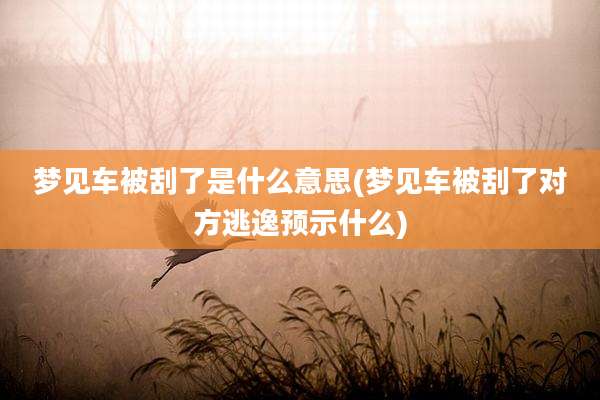 梦见车被刮了是什么意思(梦见车被刮了对方逃逸预示什么)