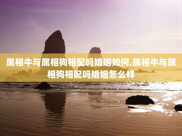 属相牛与属相狗相配吗婚姻如何,属相牛与属相狗相配吗婚姻怎么样