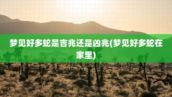 梦见好多蛇是吉兆还是凶兆(梦见好多蛇在家里)