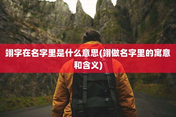 翊字在名字里是什么意思(翊做名字里的寓意和含义)