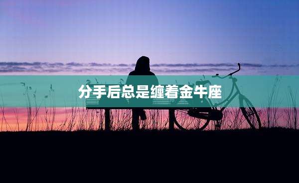 分手后总是缠着金牛座