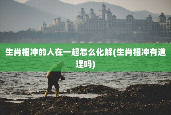 生肖相冲的人在一起怎么化解(生肖相冲有道理吗)