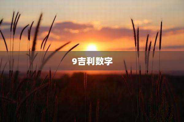 9吉利数字