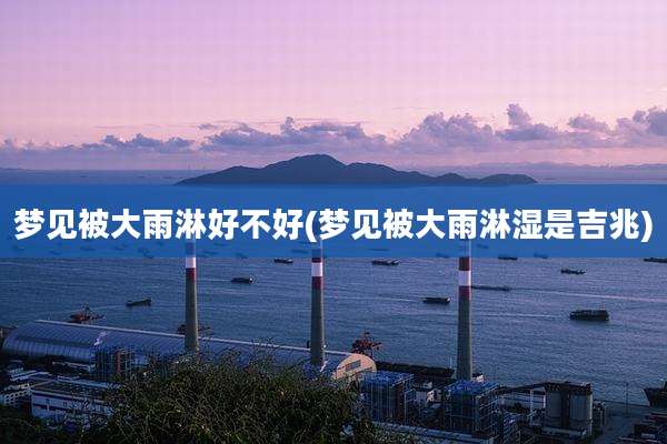 梦见被大雨淋好不好(梦见被大雨淋湿是吉兆)