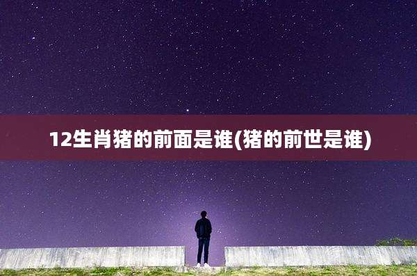 12生肖猪的前面是谁(猪的前世是谁)