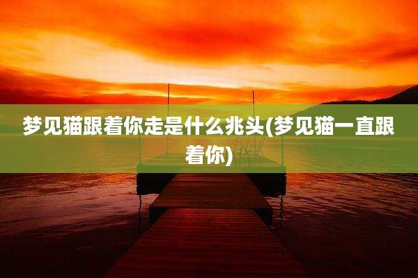 梦见猫跟着你走是什么兆头(梦见猫一直跟着你)