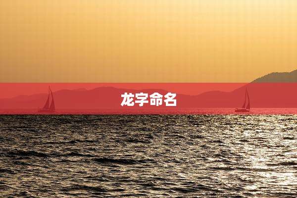 龙字命名