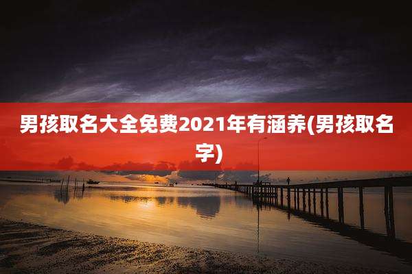 男孩取名大全免费2021年有涵养(男孩取名 字)